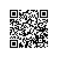 汽車喇叭廠家告訴你什么時候三分頻套裝喇叭