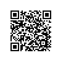 汽車喇叭失真的主要問題