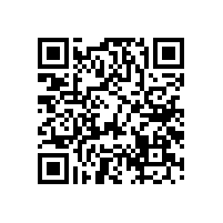 汽車音箱喇叭按性能和用途分類