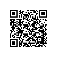 全頻喇叭單元所用振膜主要有以下幾種