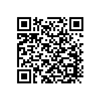 如何判斷LY、NDX喇叭音圈的質(zhì)量好壞