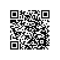 雙磁鋼的低音喇叭音箱有什么優勢？