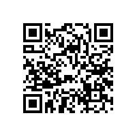 燒壞汽車音響喇叭的罪魁禍首，你知道有幾個？