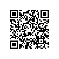 什么是兩分頻汽車套裝喇叭？