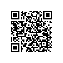 什么是汽車(chē)模擬音浪裝置