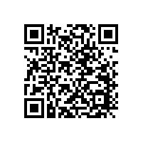 雙音圈汽車?yán)鹊奶匦越榻B