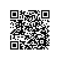 細解汽車喇叭改裝的故障防范