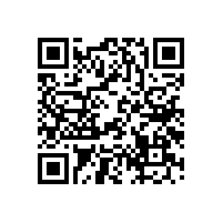 一個音箱有幾只喇叭單元呢？