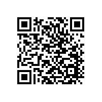 有什么原因會造成低音喇叭失聲呢？