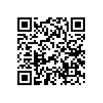 揚聲器單體音盆初步分析