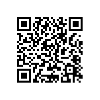 揚聲器音盆的材質聲音特質