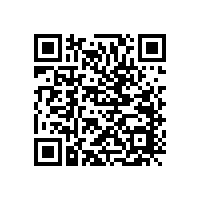 揚聲器振膜形狀分類的特點