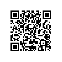 毅廷喇叭廠家~?喇叭中的二路分音