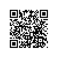 毅廷喇叭廠教您汽車音響喇叭系統的快速調音