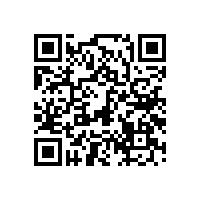 毅廷喇叭進(jìn)入俄羅斯喇叭市場(chǎng)的機(jī)會(huì)與策略分析