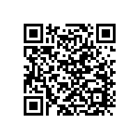 毅廷汽車喇叭廠家-教你汽車喇叭養護小妙招