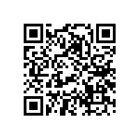 毅廷生產的SD、ZB、SB系列喇叭音盆材質有哪些