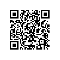 毅廷SW喇叭防護(hù)性介紹