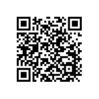 毅廷VDT喇叭和SILY喇叭的區(qū)別