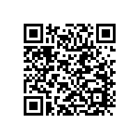 毅廷YLY系列汽車音響喇叭如何推廣