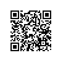 毅廷音響教你處理低音炮喇叭有雜音