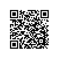 音響喇叭和鳴笛喇叭有什么不同