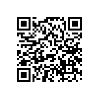 音響喇叭里的防塵帽的凹凸與音質有關系嗎？