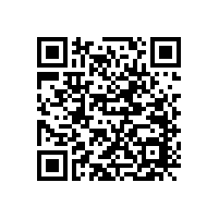 音箱喇叭沒有防塵帽會怎么樣？