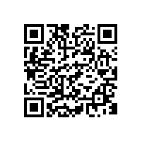 音響喇叭懸邊：凹邊和凸邊，差別居然這么大！