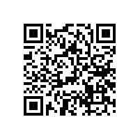 影響藍牙中音喇叭音質的參數