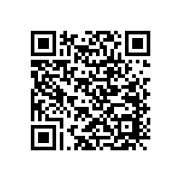 中低音喇叭燒壞了怎么維修？