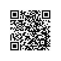 怎么快速分辨高音和低音喇叭？