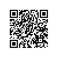 怎么選購高音揚聲器？