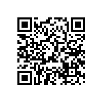 專業(yè)喇叭廠家為大家介紹幾個有代表性的音響流派