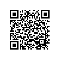 防盜鎖行業(yè)改革：制定個(gè)性化營(yíng)銷策略 －－李文鎖城