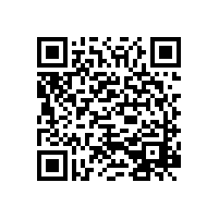 閬中李文鎖城楊斌