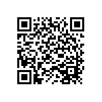 團結(jié)奮進的西安李文人