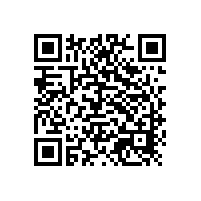 安監局領導視察銀箭安全生產工作