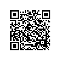 祝賀山東銀箭集團SAP項目正式上線