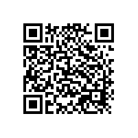 巴斯夫推出兩款新型金色和褐色內飾效應顏料