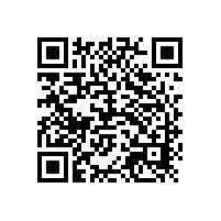 當出現物流問題時銀箭鋁銀漿工作人員會如何做？