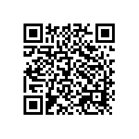 電動(dòng)車噴漆用閃光型鋁銀漿銀箭完全勝任