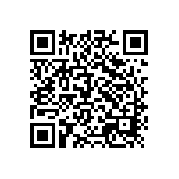 電動車噴涂用涂料鋁粉首選銀箭