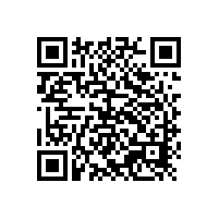 定個小目標之銀箭鋁銀漿