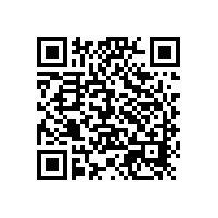 火辣7月銀箭鋁銀漿ZNA-110熱銷阿聯(lián)酋