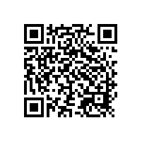 鋁銀漿的脹桶問題