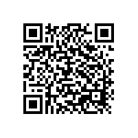 鋁銀漿使用商海虹老人進入發展新征程