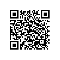 氣霧劑用鋁銀漿不選山東銀箭的選誰的？！