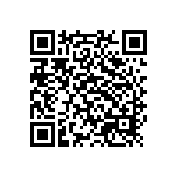 山東銀箭鋁銀漿的科技力量