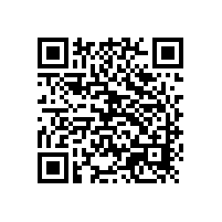 山東銀箭鋁銀漿，國產金屬顏料的專家